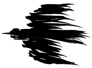 Taube - Symbol des Heiligen Geistes
